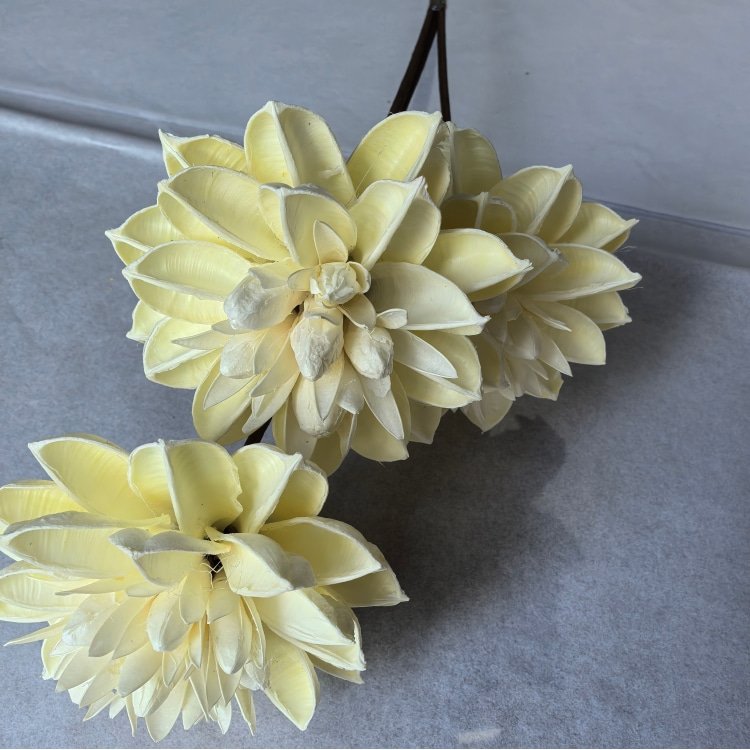 Handmade Flowers Lantana Camara Room Decoration Dried Flowers Rustic Decor Big Flower Head 10 cm in diameter