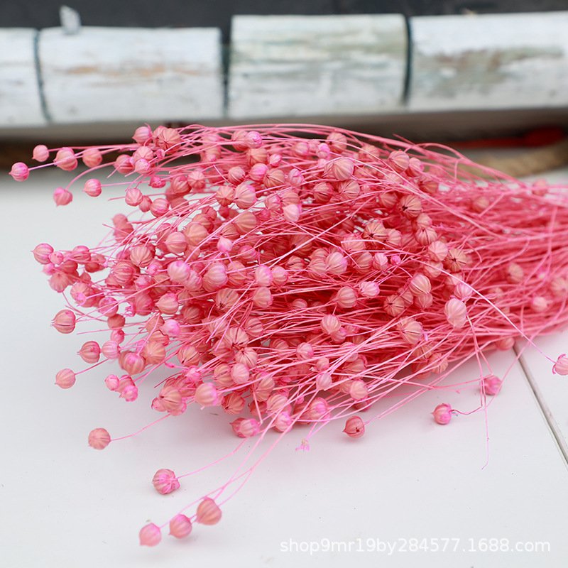 50g/bunch Acacia Beans Dried Flowers Bouquets For Decoration Sell In Bulk