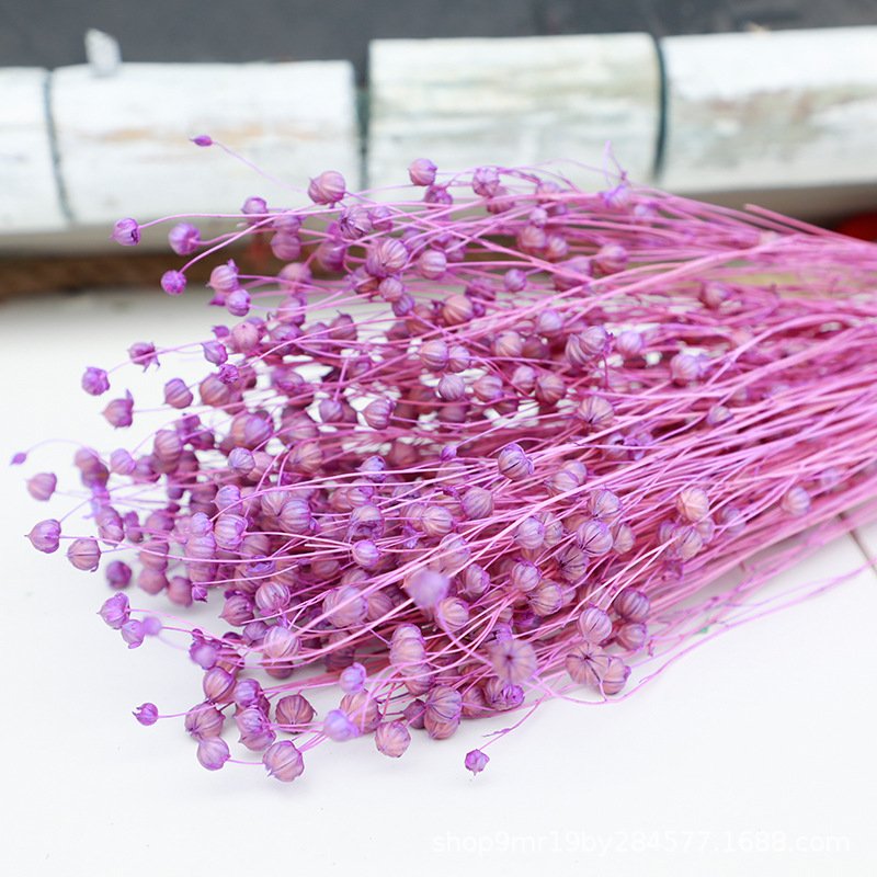 50g/bunch Acacia Beans Dried Flowers Bouquets For Decoration Sell In Bulk