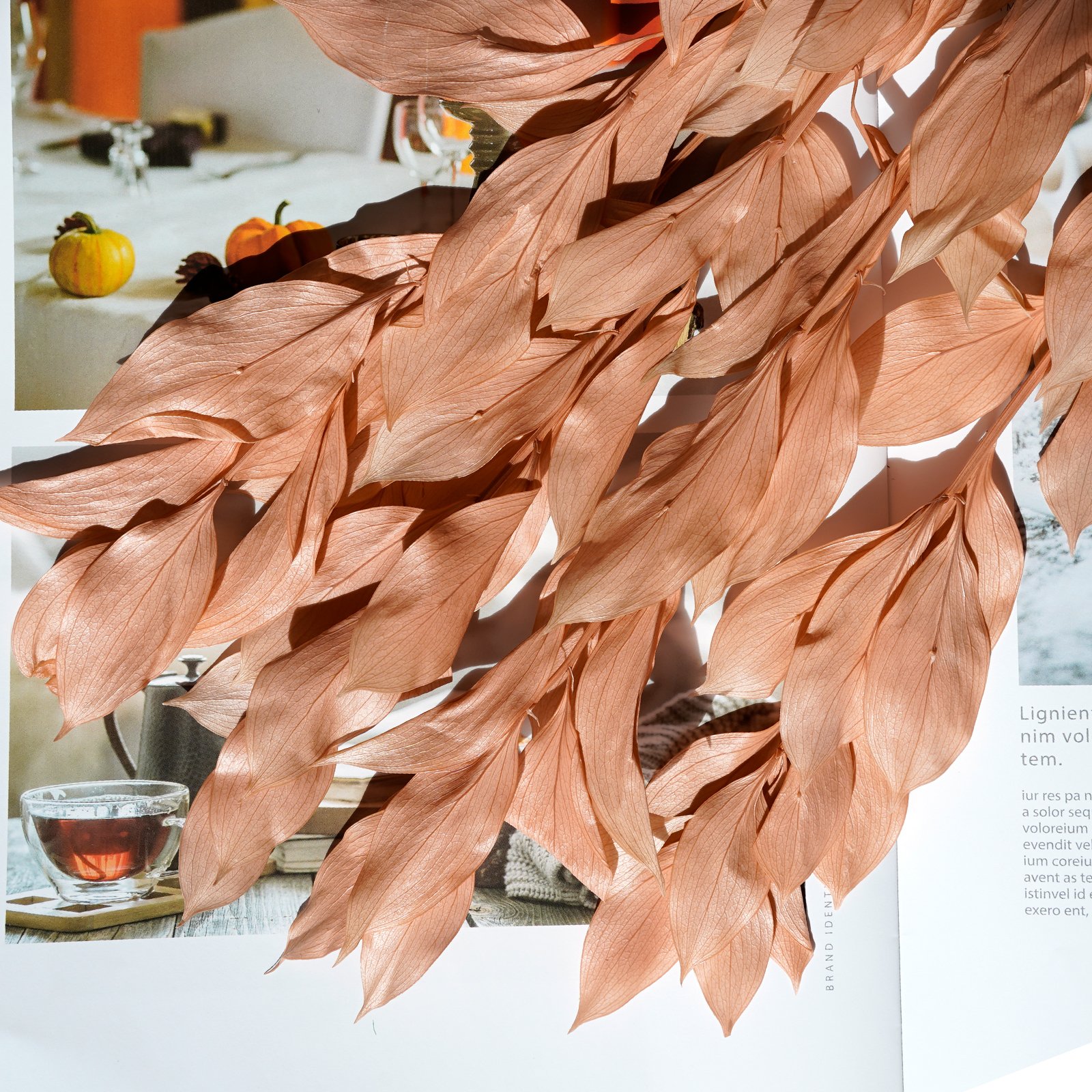 New Style Fresh Preserved Ruscus Plant Leaves dried flowers Ruscus Preserved Orange Leaves for Boho Weddings Home Vase Decor