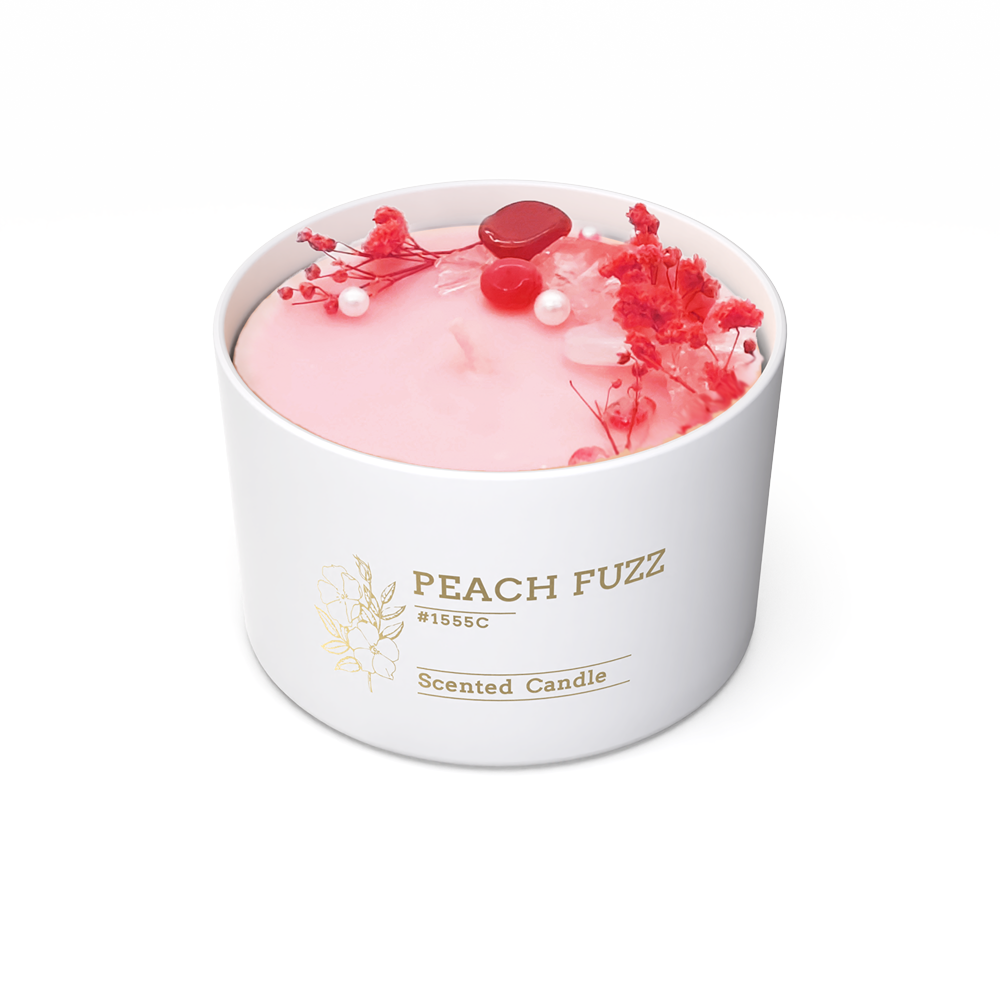 TC48 Home Decor Natural Dried Flowers candle cement concrete ceramic flower candle