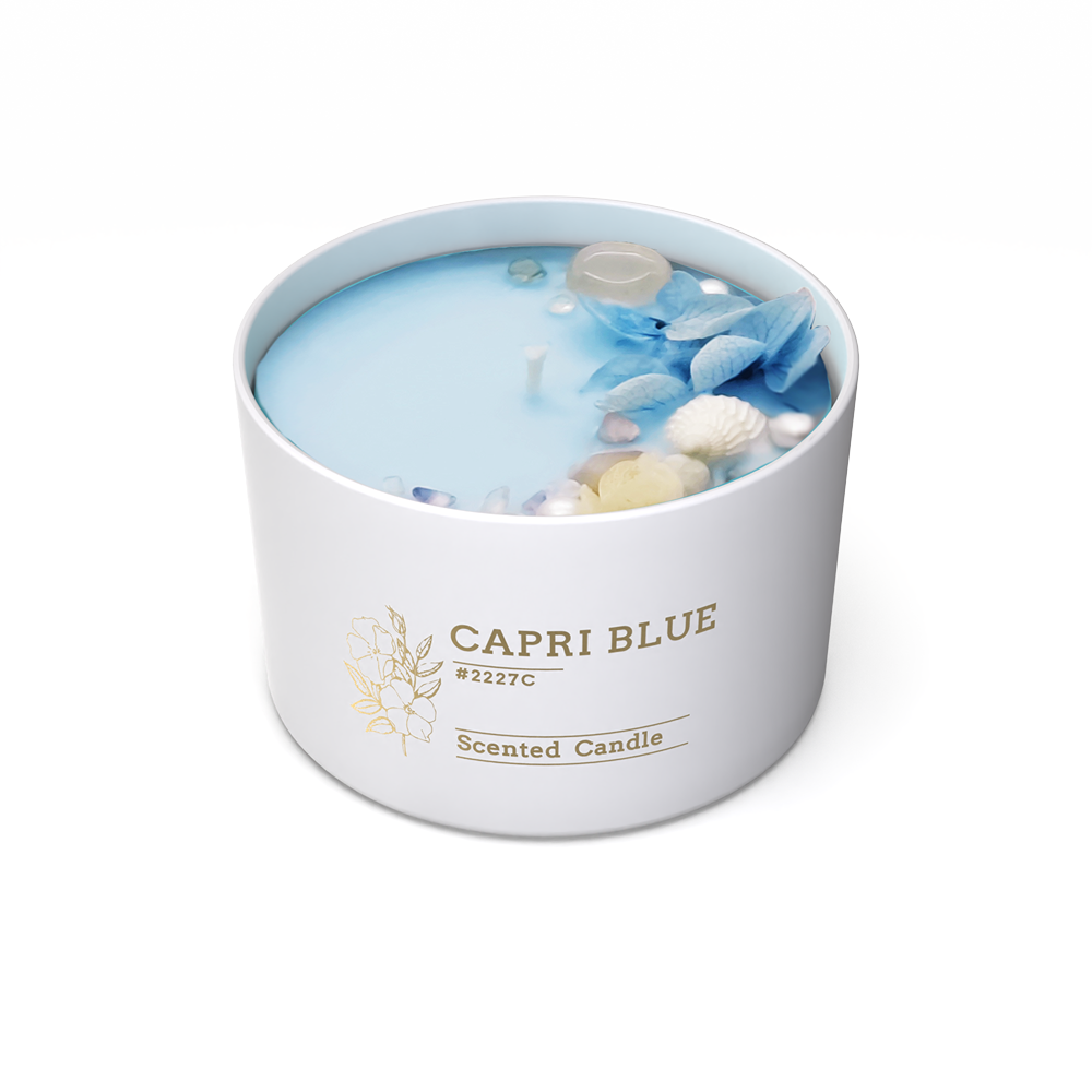 TC48 Home Decor Natural Dried Flowers candle cement concrete ceramic flower candle