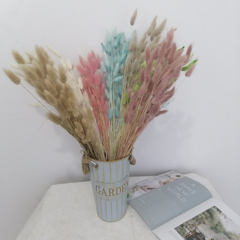 Dried Lagurus ovatus Hare tail grass Handmade Preserved Natural Decorative flowers and plants for Wedding Home decoration