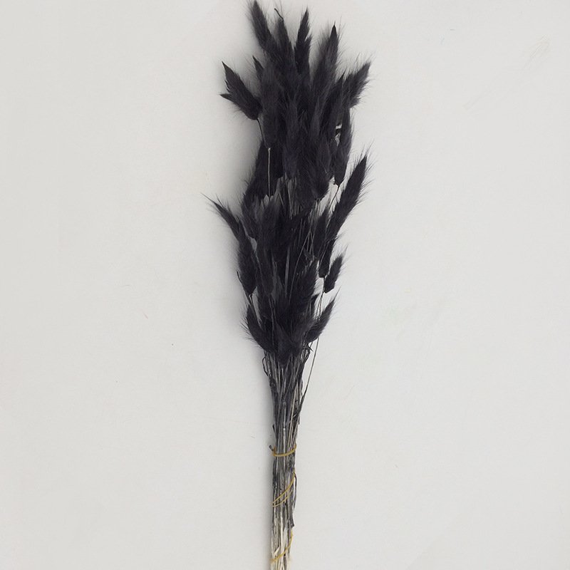 Dried Lagurus ovatus Hare tail grass Handmade Preserved Natural Decorative flowers and plants for Wedding Home decoration