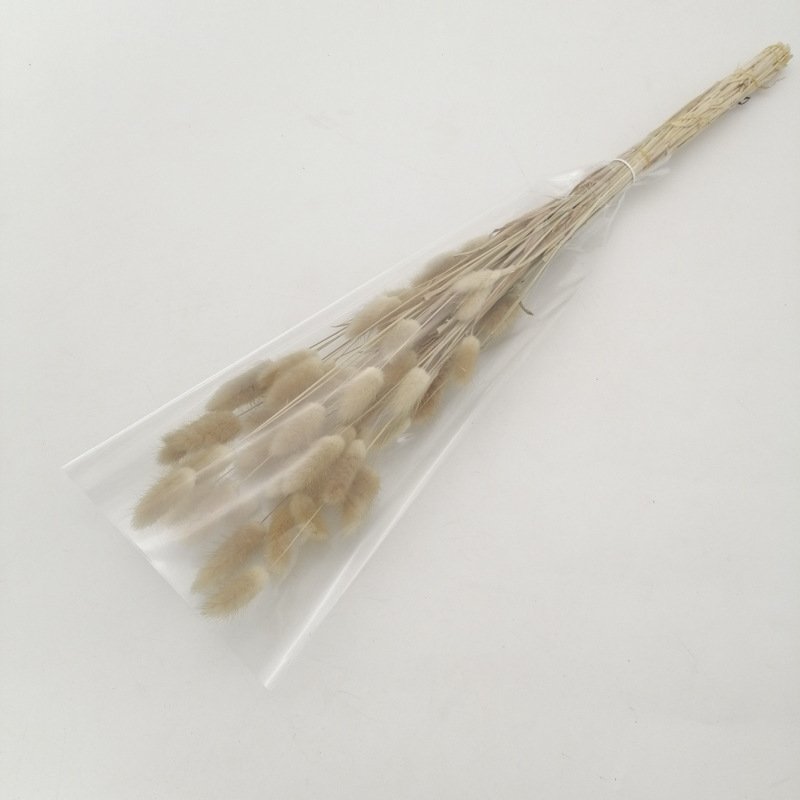 Dried Lagurus ovatus Hare tail grass Handmade Preserved Natural Decorative flowers and plants for Wedding Home decoration