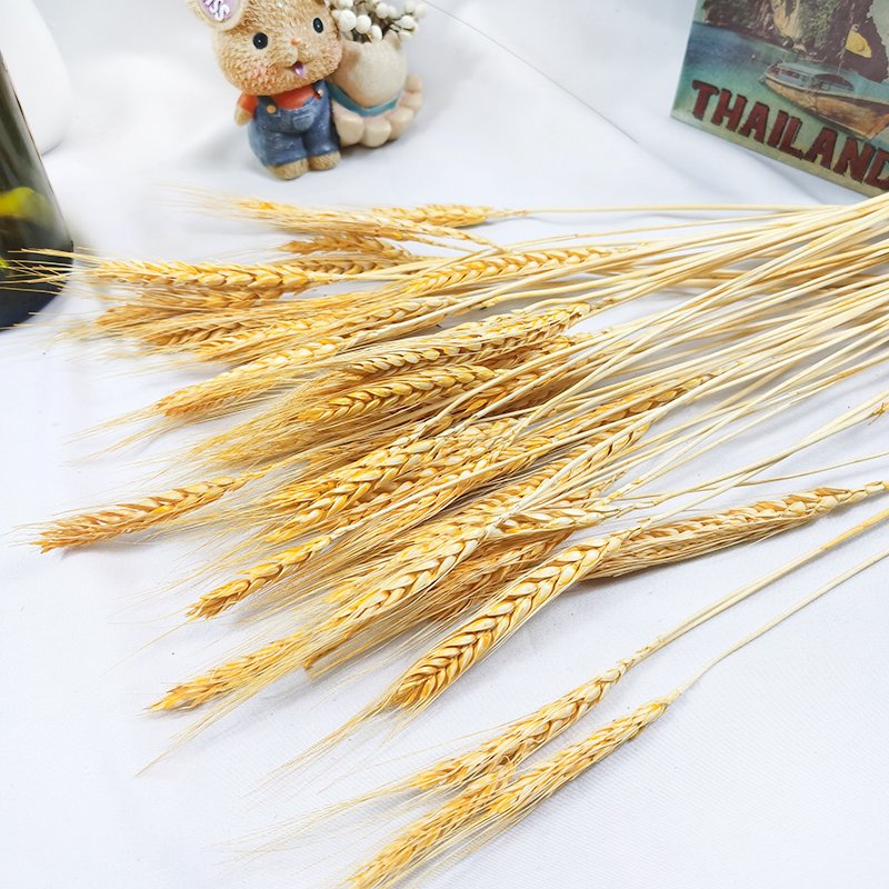 Wholesale Dried Wheat Sheaves Stalks Bouquet Natural Wheat Ears Grain Flowers Dry Grass Bunch Boho Decor