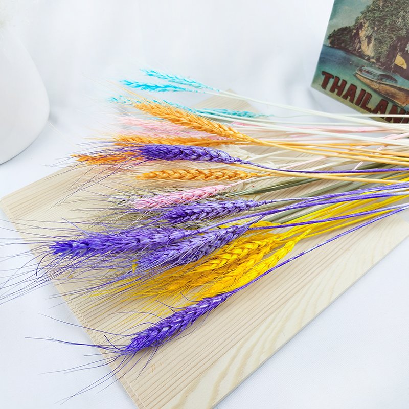 Wholesale Dried Wheat Sheaves Stalks Bouquet Natural Wheat Ears Grain Flowers Dry Grass Bunch Boho Decor