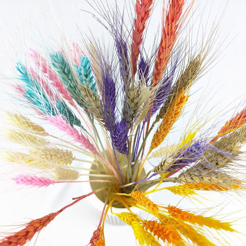 Wholesale Dried Wheat Sheaves Stalks Bouquet Natural Wheat Ears Grain Flowers Dry Grass Bunch Boho Decor