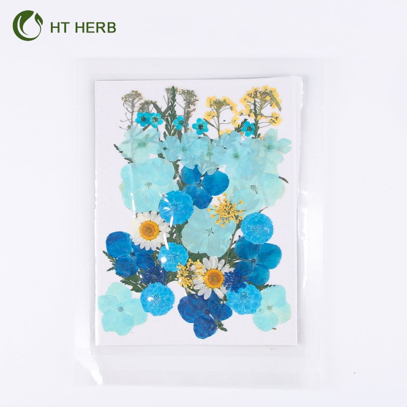 Hot Selling Dried Flowers Resin Jewelry Dry Flowers Plants Dried Pressed Flowers Natural for Resin Candle Material