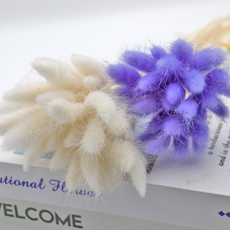 A-59 2023 wholesale cheap dry candles natural for resin Decorative flower rabbit tail dried flowers