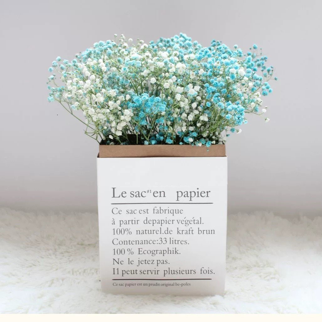Manufacturer Preserved baby's breath flowers Natural Gypsophila Branches for Home Decor Party Wedding Decoration