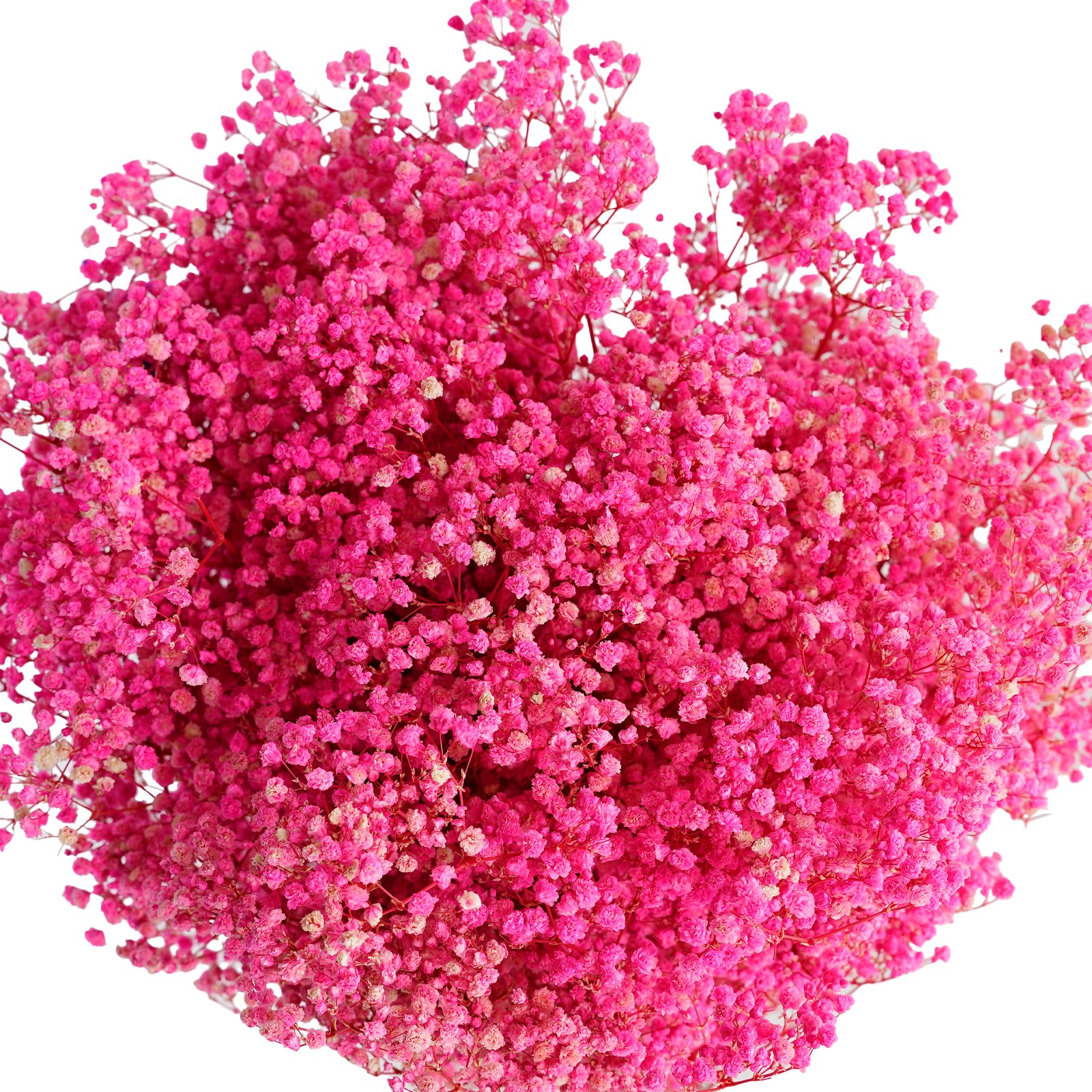 Manufacturer Preserved baby's breath flowers Natural Gypsophila Branches for Home Decor Party Wedding Decoration