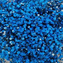 Ultramarine