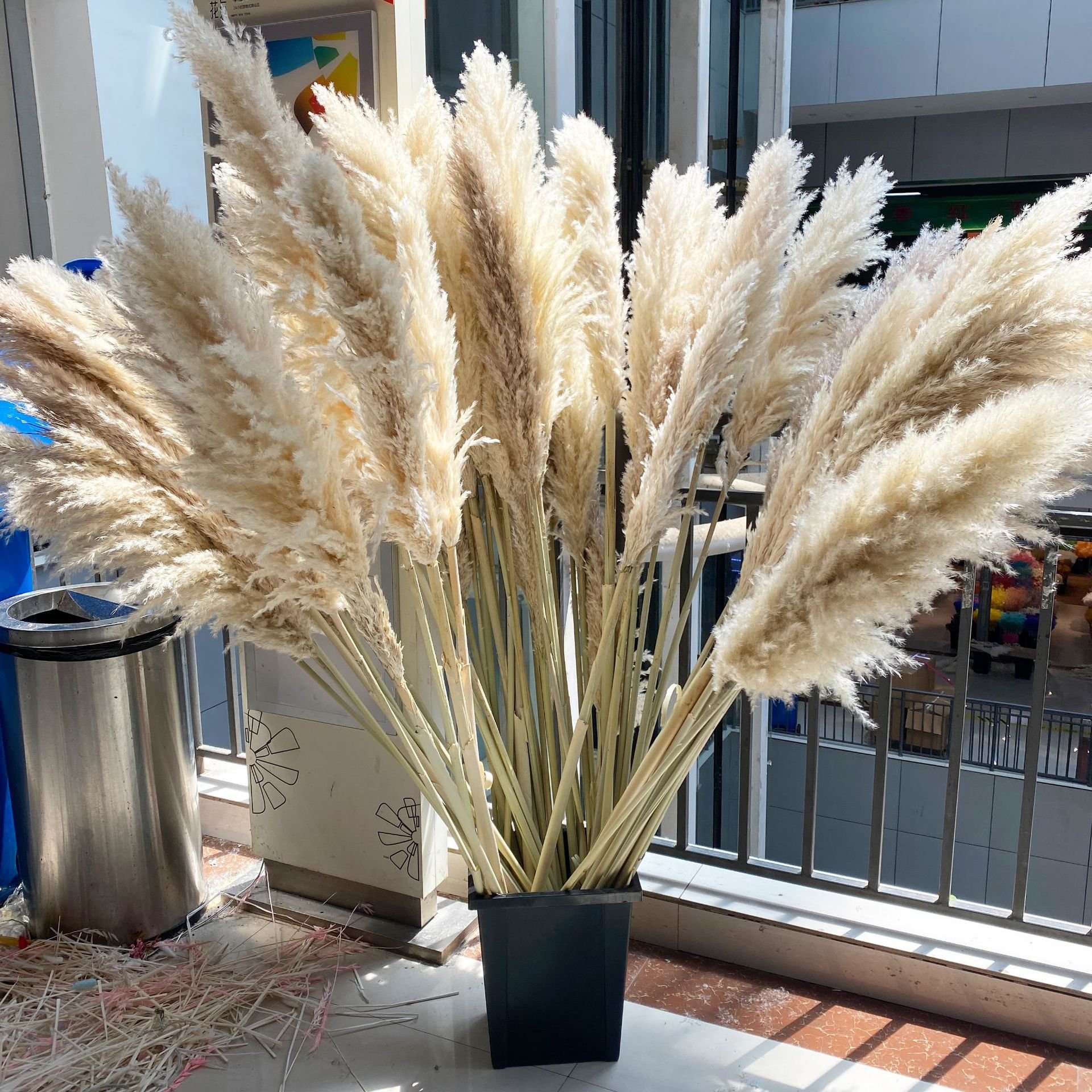 Natural dried pampas grass large fluffy tall decorative flowers for wedding or home decor factory price gift for new year