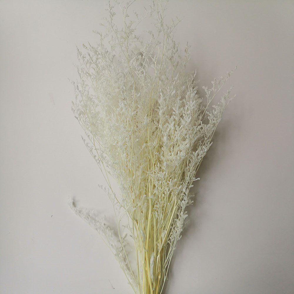 Amazon Best Selling Dried Flowers Valentine's Grass Limonium Floral Decors For Floral Arrangement