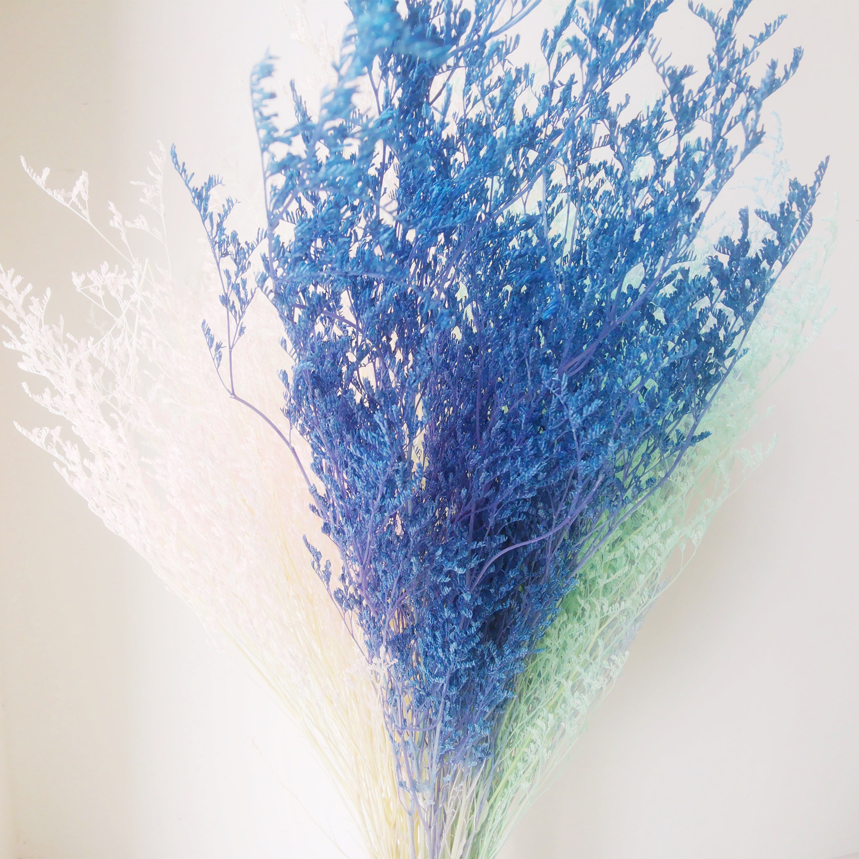 Amazon Best Selling Dried Flowers Valentine's Grass Limonium Floral Decors For Floral Arrangement