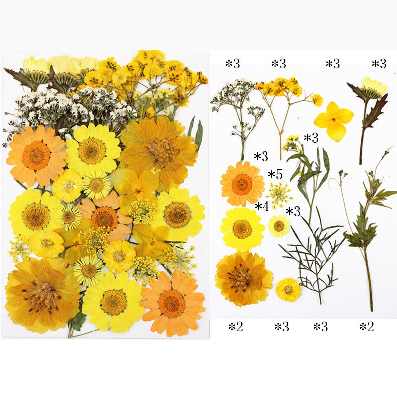 Pressed Dried Natural Dry Flowers DIY Candle Soap Resins Art Mold Dried Flowers Dried Flower for Resin Art