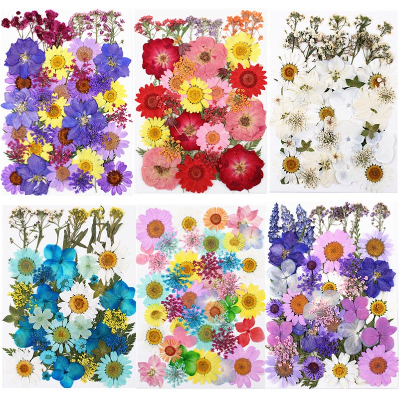 Pressed Dried Natural Dry Flowers DIY Candle Soap Resins Art Mold Dried Flowers Dried Flower for Resin Art