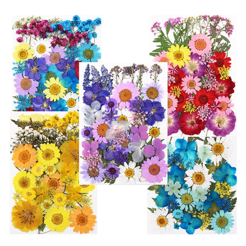Pressed Dried Natural Dry Flowers DIY Candle Soap Resins Art Mold Dried Flowers Dried Flower for Resin Art