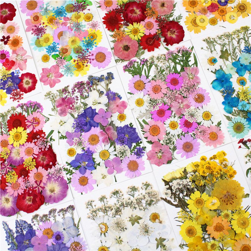 Pressed Dried Natural Dry Flowers DIY Candle Soap Resins Art Mold Dried Flowers Dried Flower for Resin Art
