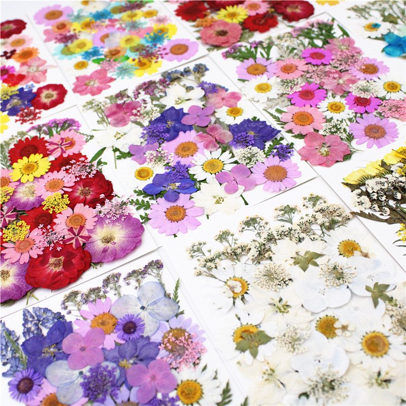 Pressed Dried Natural Dry Flowers DIY Candle Soap Resins Art Mold Dried Flowers Dried Flower for Resin Art