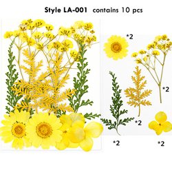 LA0001
