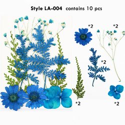 LA0004