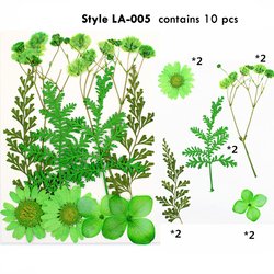LA0005