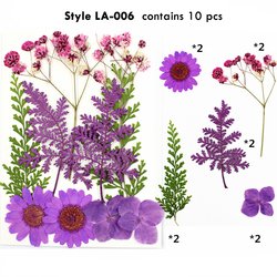 LA0006