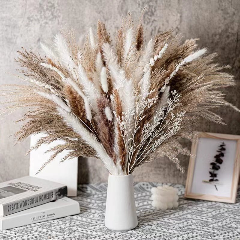 Fluffy Pampas Dried Flowers Bouquet Home Decor Natural Bunny Rabbit Tail Grass Artificial Flower Wedding Party Decoration