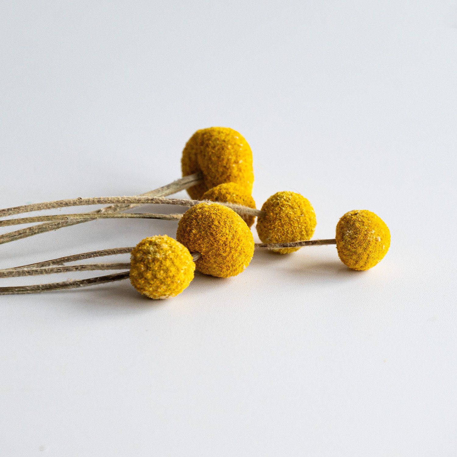 Simple style dried flower billy balls & golden ball for home decor