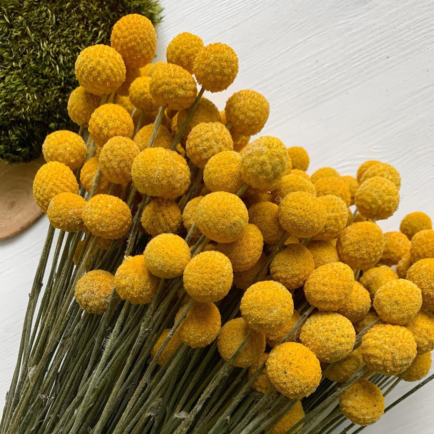 Simple style dried flower billy balls & golden ball for home decor