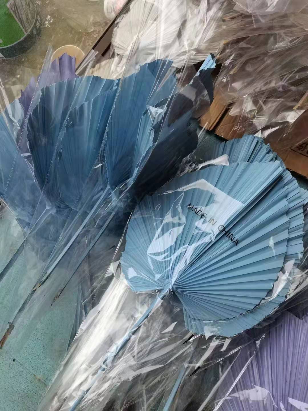 Top Quality Multishaped natural palm leaves palm leaf fan home decorative dried palm leaves