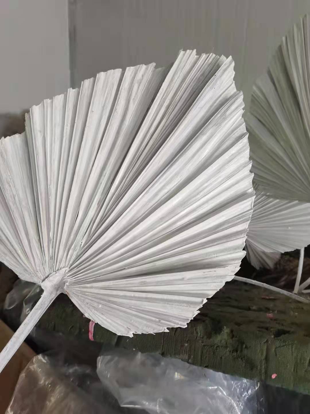Top Quality Multishaped natural palm leaves palm leaf fan home decorative dried palm leaves