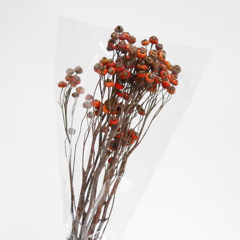 Dry Flowers natural Real Dried Flowers Plants ried Small Pumpkin Fruit for home decoration