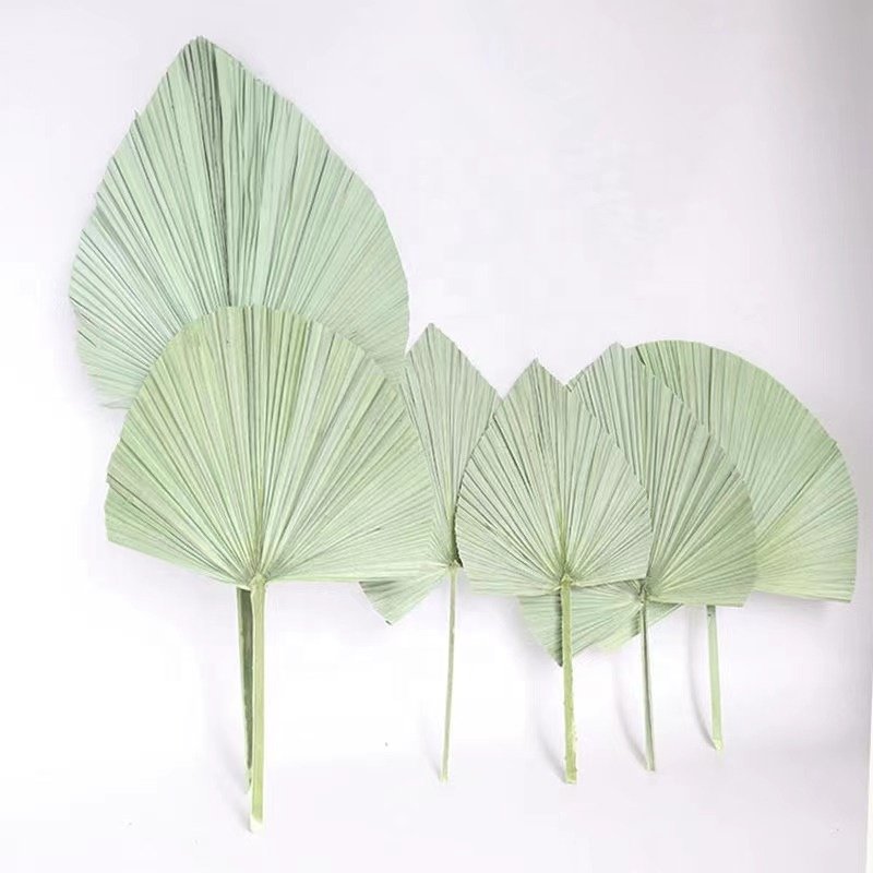 Sale Rural Style Dried Palm Leaves Artificial Palm Pampas Natural Dried Grass For Restaurant Home DecorWisteria Flower