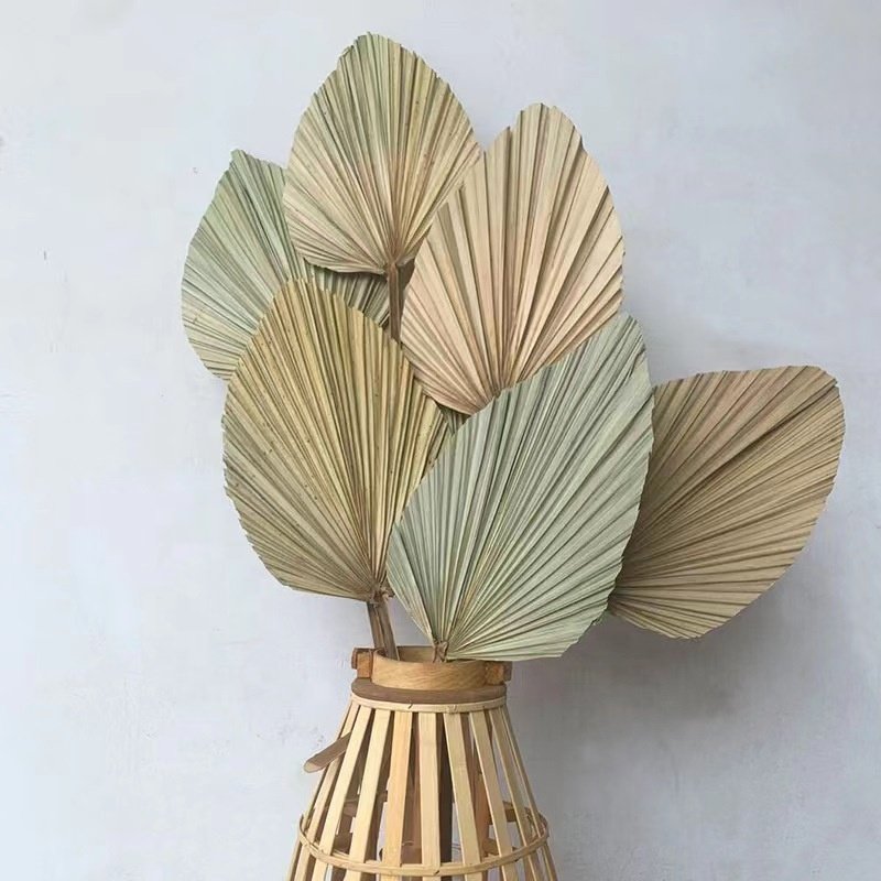 Sale Rural Style Dried Palm Leaves Artificial Palm Pampas Natural Dried Grass For Restaurant Home DecorWisteria Flower