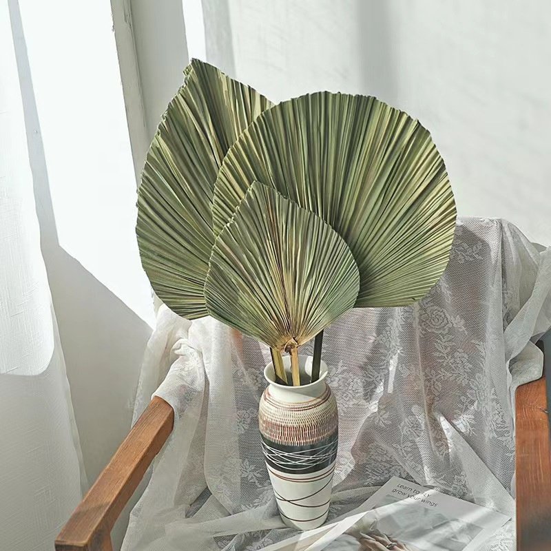 Sale Rural Style Dried Palm Leaves Artificial Palm Pampas Natural Dried Grass For Restaurant Home DecorWisteria Flower