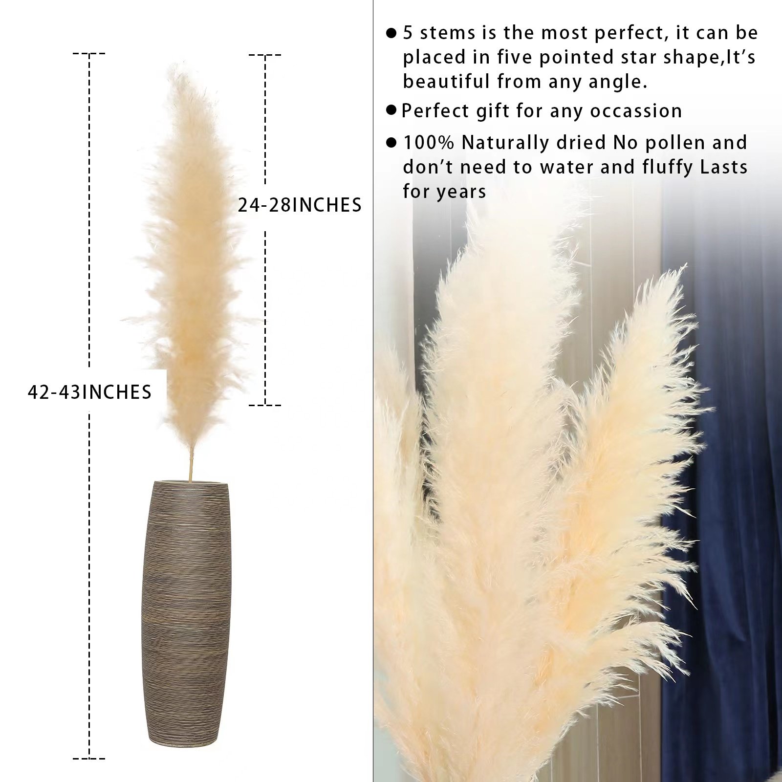 Customized in various colors 65-120cm Pampas Grass Perfect Wedding Home Decor Dried flower Natural Dried Pampas Grass