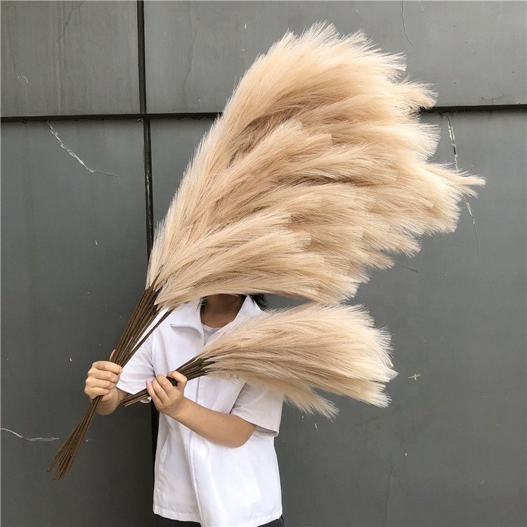 Dried Flower Faux BLACK Pampas Grass Home Decor and Wedding Decoration Artificial Fluffy Black Pampas O-0010 Natural Carton Silk