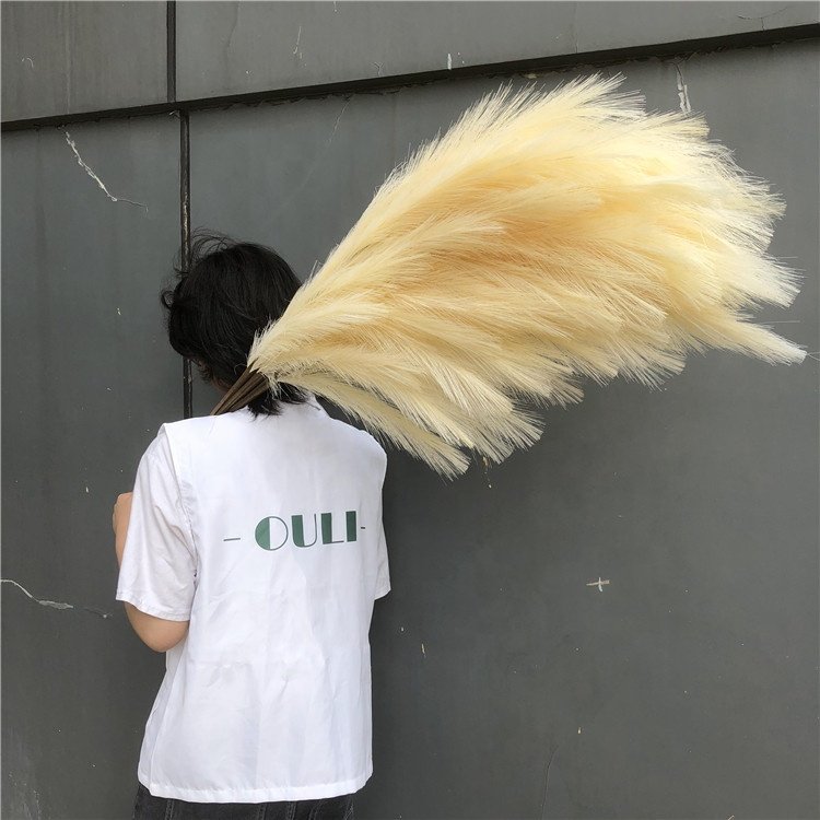 Dried Flower Faux BLACK Pampas Grass Home Decor and Wedding Decoration Artificial Fluffy Black Pampas O-0010 Natural Carton Silk