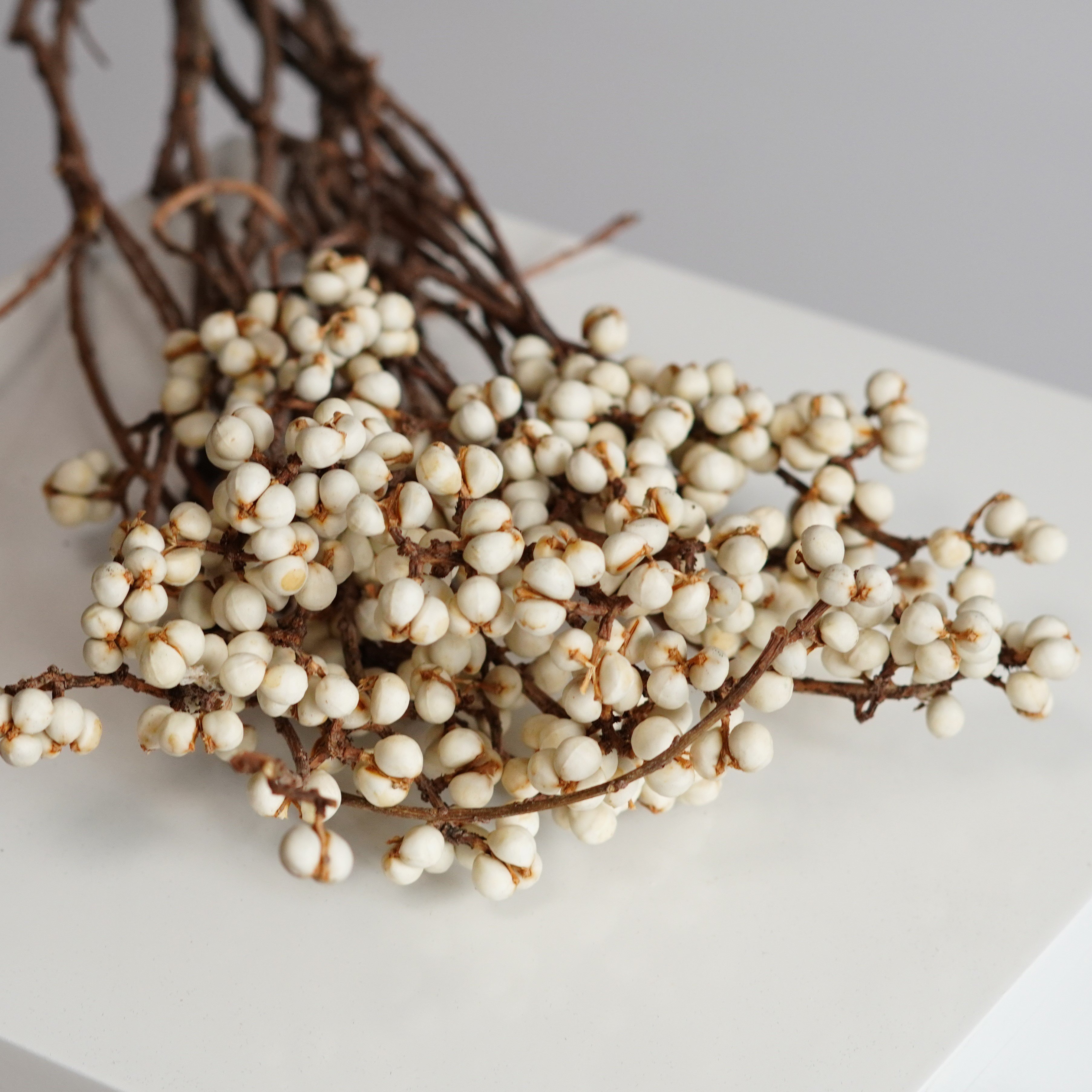 Dried Tallow Berries, tallowberries, natural berries, berries,craft flowers, dried berries, Wedding flowers