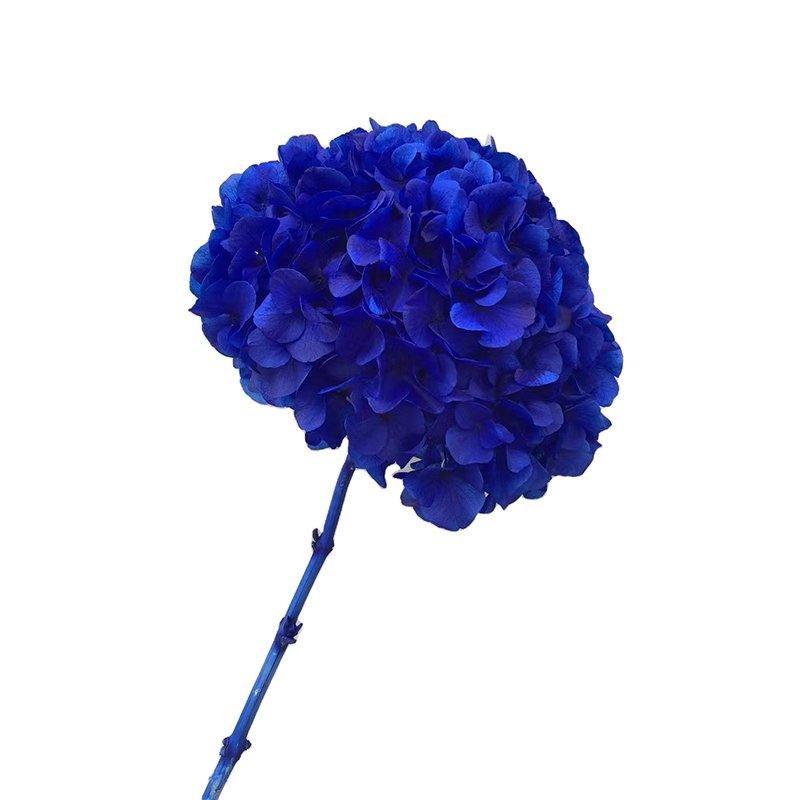 bouquet of flowers dried hydrangea flowers big leaf pink blue purple white dusty rose red preserved hydrangeas for events decor