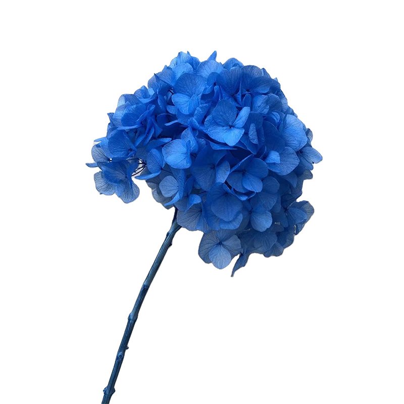 bouquet of flowers dried hydrangea flowers big leaf pink blue purple white dusty rose red preserved hydrangeas for events decor