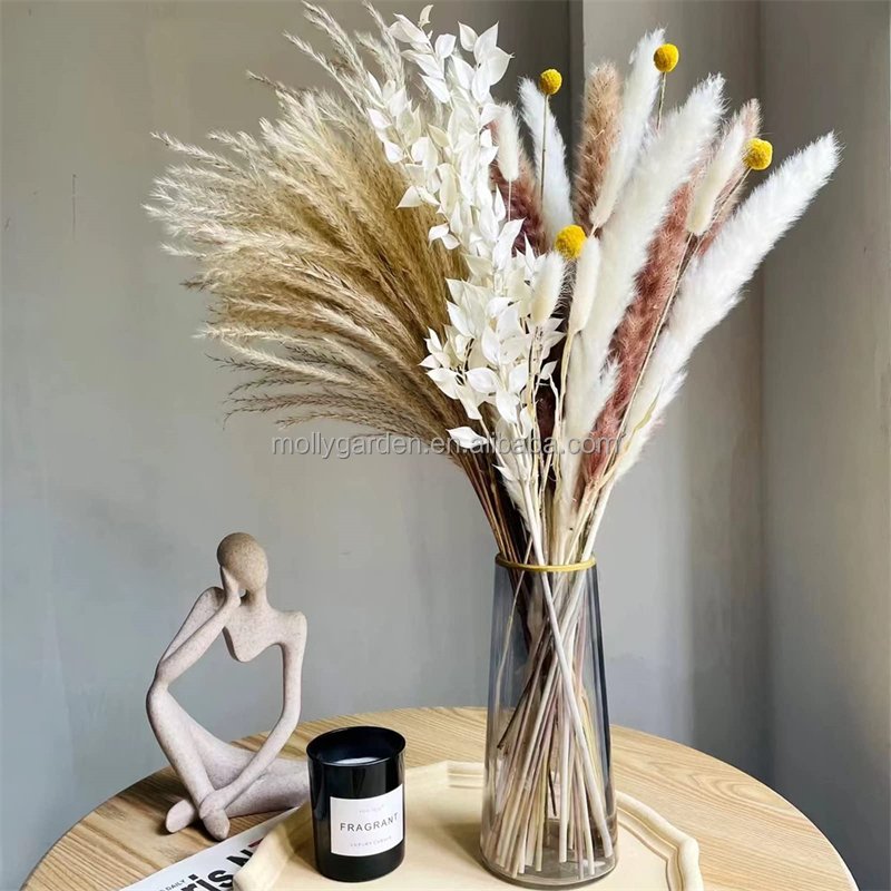 Wholesale White Eucalyptus Italian Ruscus Bulk Large Natural Preserved Bleached Plant Leaves Dried Stems for Weddings Home Vase