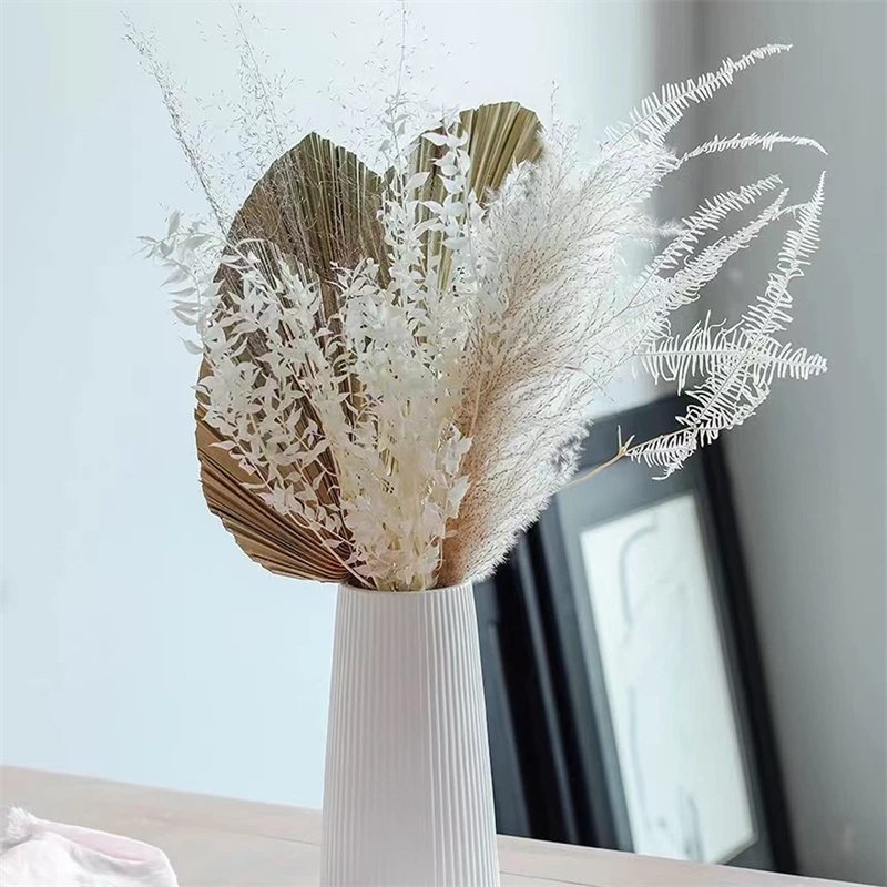 Wholesale White Eucalyptus Italian Ruscus Bulk Large Natural Preserved Bleached Plant Leaves Dried Stems for Weddings Home Vase