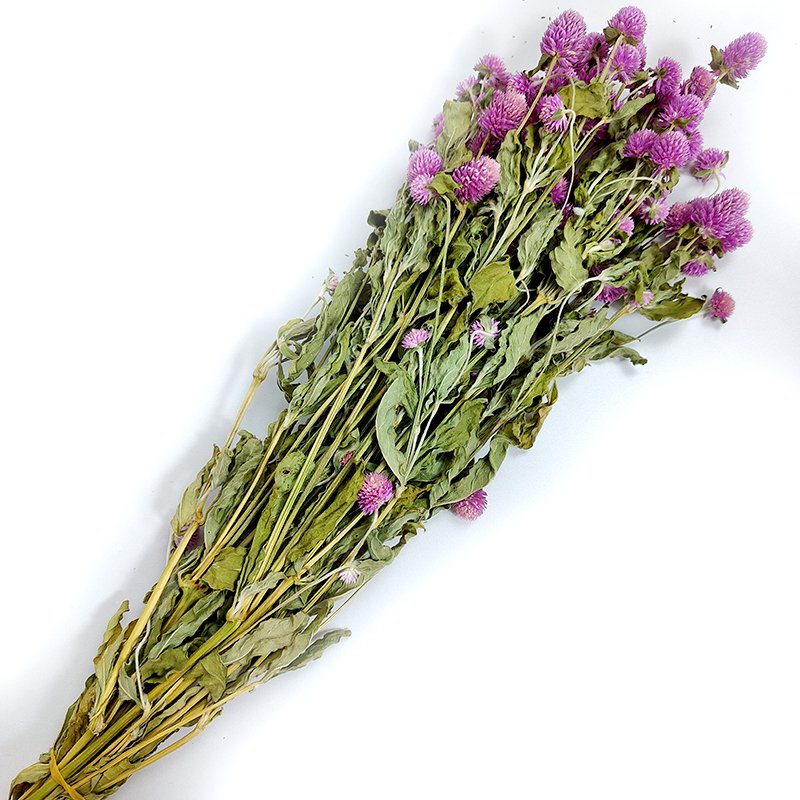 Dried Flowers Gomphrena Globosa Bunch Natural Colorful Globe Amaranth For Wedding Decoration Birthday Gift Creative Crafts