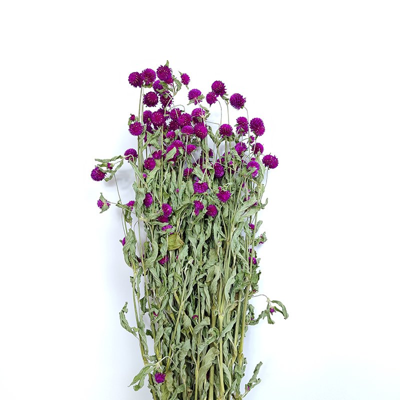 Dried Flowers Gomphrena Globosa Bunch Natural Colorful Globe Amaranth For Wedding Decoration Birthday Gift Creative Crafts