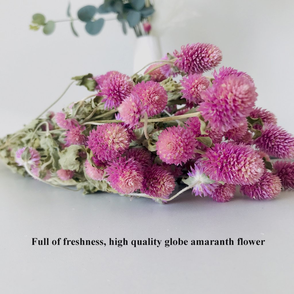 Dried Flowers Gomphrena Globosa Bunch Natural Colorful Globe Amaranth For Wedding Decoration Birthday Gift Creative Crafts