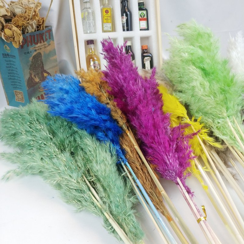 Dried Pampas Grass Wedding Flower Arrangement Bohemia Decor Yunnan Wholesale Natural Colorful Dry Fluffy Wild Pampas Grass